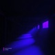 Contraluz Single