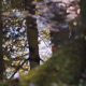 Bedrock RRG Single