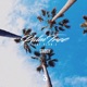 Palm Tree feat Plan Z Single