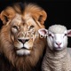 YESHUA Single