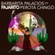 PAJARITO feat Perotá C ó Single