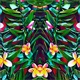 Evergreens Single