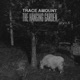 The Hanging Garden Single