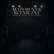 WIZERUNEK SCENICZNY Single
