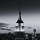 nyc Single