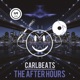 The Afterhours Single