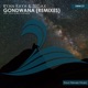 Gondwana Remixes Single