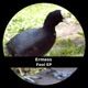 Fool Single