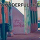 WONDERFUL LIFE Single