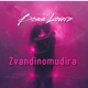 Zvandinomudira Single