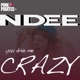 You Drive Me Crazy Single