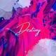 Destiny Festival Mix Single