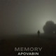 Memory Single
