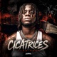 CICATRICES