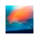 fever in the night Single