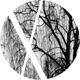 Lightest Shades of Grey Remixes