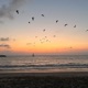 morning breeze Single