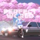 Perfect World Single