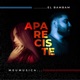 Apareciste Single