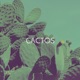 Cactos feat Alt Niss Single