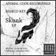 Skunk Ep Single