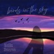 birds in the sky feat Swervo Single