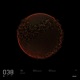 Banished EP