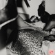FUCHSIA LEMONADE feat Dom Vallie Single