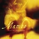 Mambo Music of Expression