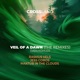 Veil of a Dawn Rasmus Vels Remix Single
