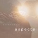 Aspects Single