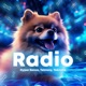 Radio Techno Single