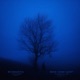 need some sleep EP