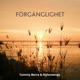 Förgänglighet Single