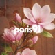 Magnolia EP