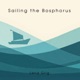 Sailing the Bosphorus Single