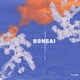 BONSAI Single