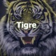 Tigre Single
