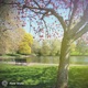 St George s Park Single