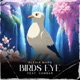 Birds Eye feat Cambar Single