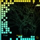 Nocturnal Single