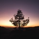 Nature EP