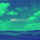 Lights Single