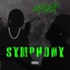 10 Year Symphony