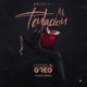 Mi Tentación Remix feat Soley GJ Single