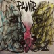 Panir Single