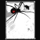 Black Widow Single