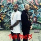 Twin Powers