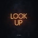 Look Up Single