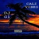 CALI VIBES feat DJ PLUG IN Single